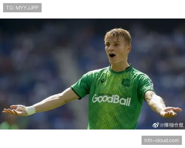 厄德高:天才兑现了吗?成长轨迹与核心贡献解析 厄德高:天才兑现了吗?成长轨迹与核心贡献解析